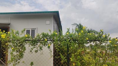 Project Image of 1620.0 - 3150.0 Sq.ft Residential Plot Plot for buy in Yugandhar RRR Riverside