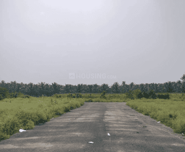Project Images