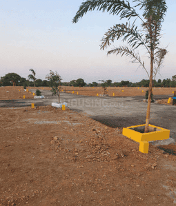 Project Images