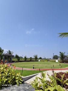 Project Image of 0.0 - 500.0 Sq.ft Residential Plot Plot for buy in Tirumala Padmawati