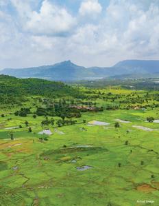 Project Image of 0.0 - 2056.45 Sq.ft Residential Plot Plot for buy in Kalpataru Aria