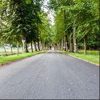 Nature Magnets III Elevation 1