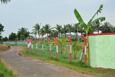 Project Image of 7200.0 - 22193.0 Sq.ft Residential Plot Plot for buy in MCB Quarter Acre
