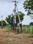 Alankritha Avenue Plot 1