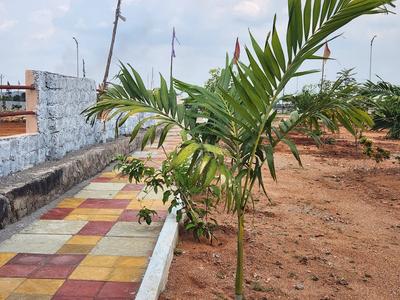 Project Image of 1800.0 - 3193.2 Sq.ft Residential Plot Plot for buy in AK Nature City