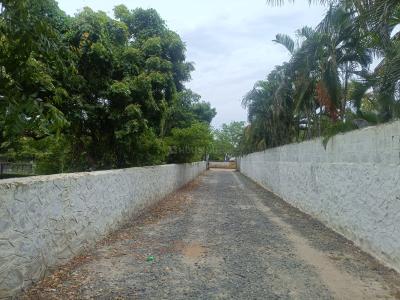 Project Image of 1000.0 - 6800.0 Sq.ft Residential Plot Plot for buy in Royal ECR Plots