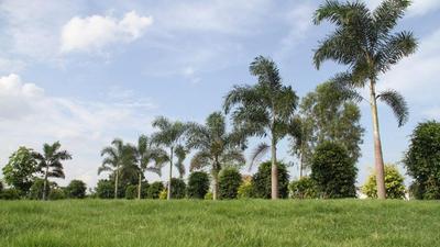 Peram Aditya Grand Phase 4 2 Others 1