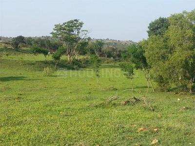 Project Image of 5000.0 - 6000.0 Sq.ft Residential Plot Plot for buy in Greater Farm Casa
