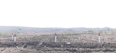 Project Image of 1000.0 - 10000.0 Sq.ft Residential Plot Plot for buy in Bhoomi Plots