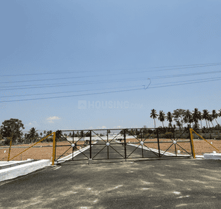 Project Images