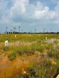 Project Image of 985.0 - 1202.0 Sq.ft Residential Plot Plot for buy in Proptera Luxury Plots