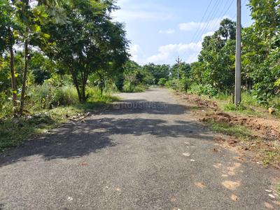 Project Image of 1800.0 - 4500.0 Sq.ft Residential Plot Plot for buy in Teja Sri Vishnu Nagar