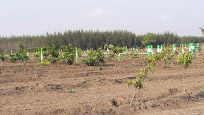 Project Image of 9600.0 - 19999.0 Sq.ft Residential Plot Plot for buy in Kingmakers Farm Land