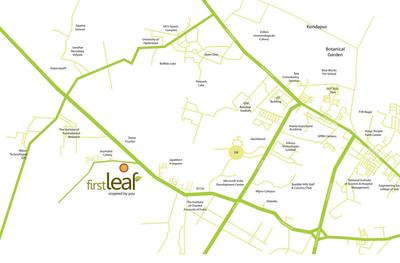 Pooja First Leaf 1.jpg 1