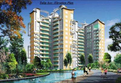 Project Image of 2200.0 - 5625.0 Sq.ft 3 BHK Apartment for buy in Tulip Ace