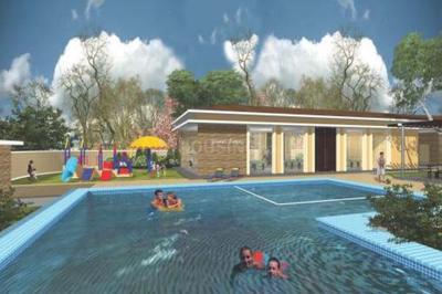 Devikulam Swimming Pool 1