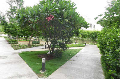Project Image of 1550 Sq.ft 3 BHK Apartment / Flat for sale in Ambegaon Budruk for Rs. 12000000