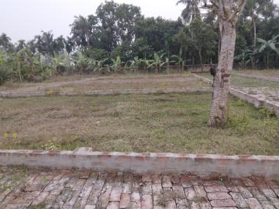 Project Image of 5184.0 - 7200.0 Sq.ft Residential Plot Plot for buy in Griebs Shantiniketan