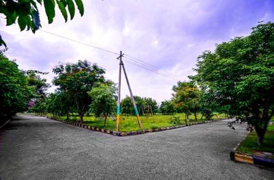 Project Image of 810.0 - 9000.0 Sq.ft Residential Plot Plot for buy in Siyora Royal Court