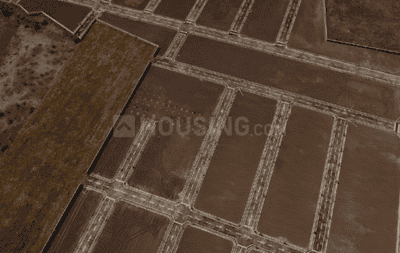 Project Images