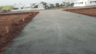 Project Images