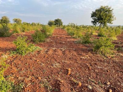 Project Image of 1089.0 - 5445.0 Sq.ft Residential Plot Plot for buy in V Navya Greens
