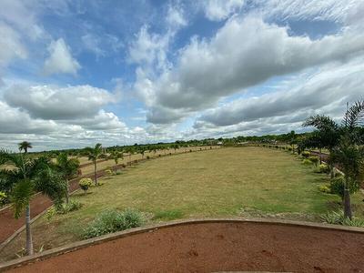 Gallery Cover Pic of Aranya City Of Woodland Chatoud