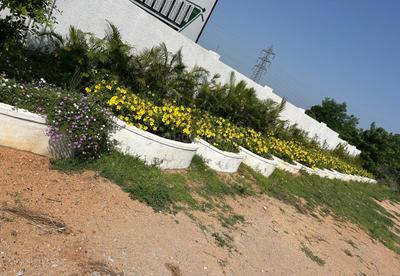 Project Image of 1440.0 - 3195.0 Sq.ft Residential Plot Plot for buy in RPL County