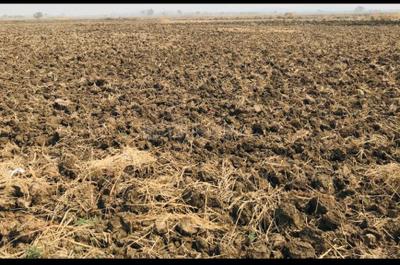 Project Image of 1000.0 - 10000.0 Sq.ft Residential Plot Plot for buy in Samrajya Khopta Township