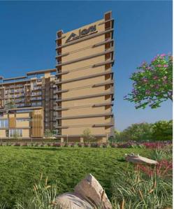 Ask Allure Elevation 1