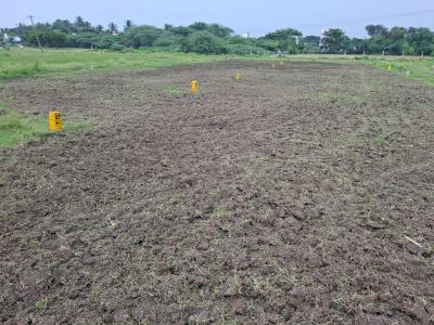 Project Image of 421.0 - 1461.0 Sq.ft Residential Plot Plot for buy in Superr Dhakshinamurthy Nagar