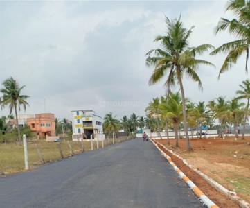 Project Image of 802.0 - 1459.0 Sq.ft Residential Plot Plot for buy in Staar Vit Avenue
