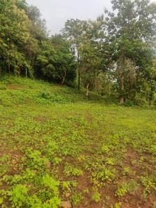 Project Image of 1000.0 - 10000.0 Sq.ft Residential Plot Plot for buy in Farm N Land Roha