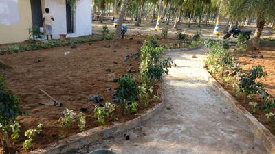 Project Image of 600.0 - 4800.0 Sq.ft Residential Plot Plot for buy in Accord Ranch City