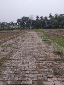 Gallery Cover Pic of Griebs Shantiniketan