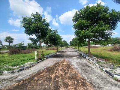 Project Image of 1474.66 - 4014.94 Sq.ft Residential Plot Plot for buy in Vimala Vyoma