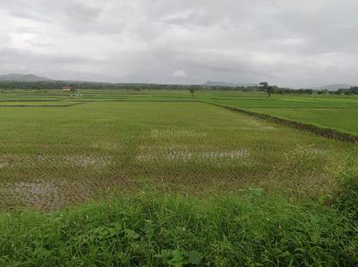 Project Image of 1000.0 - 10000.0 Sq.ft Residential Plot Plot for buy in Farm N Land Mangaon
