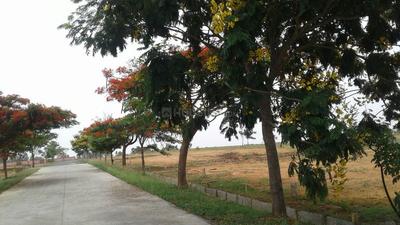 Project Image of 1200.0 - 7000.0 Sq.ft Residential Plot Plot for buy in NBR Green Valley