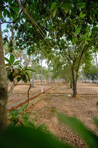 Project Image of 1593.06 - 4389.0 Sq.ft Residential Plot Plot for buy in DRA Ranka Palm Lakeside