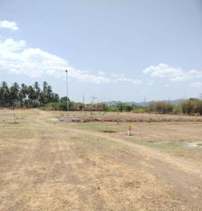 Project Images