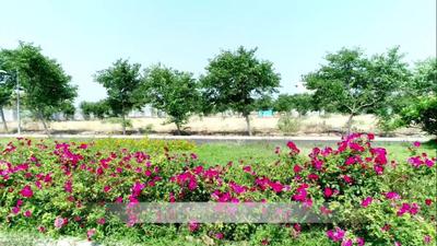 Project Image of 1640.42 - 6242.42 Sq.ft Residential Plot Plot for buy in Aparna Western Meadows Phase IV