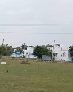 Project Image of 800.0 - 1800.0 Sq.ft Residential Plot Plot for buy in Sri Matru Avenue