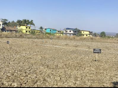 Project Image of 1000.0 - 10000.0 Sq.ft Residential Plot Plot for buy in Swarajya Infrastructure
