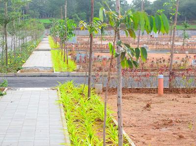Project Image of 12917.0 - 25833.0 Sq.ft Residential Plot Plot for buy in KNS Neoliva