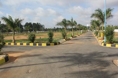 Bluejay Uttar Main Other 2