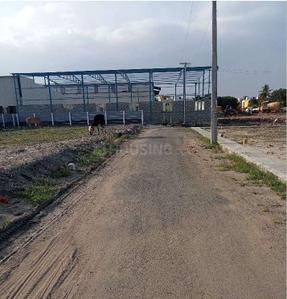 Project Image of 2191.96 - 3910.96 Sq.ft Residential Plot Plot for buy in Hi Living Marina