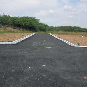 Project Images