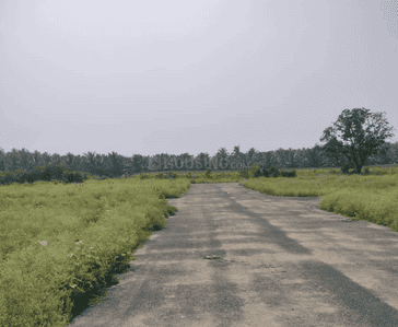 Project Images