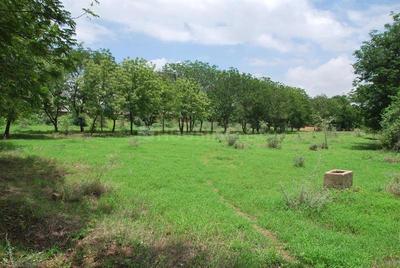 Project Image of 0.0 - 36000.0 Sq.ft Residential Plot Plot for buy in Sun Green