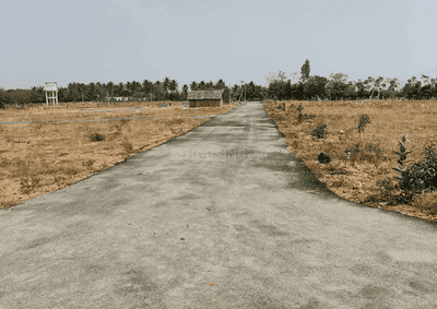 Project Images